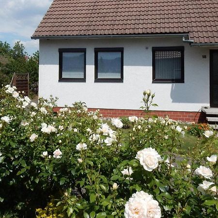 Fewo Am Sassenberg Blankenburg  Exterior foto